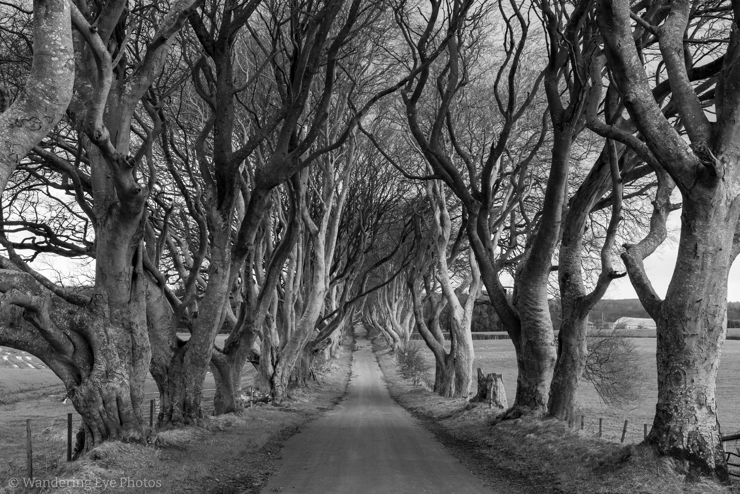 02.24 14.48.47   DSC05283